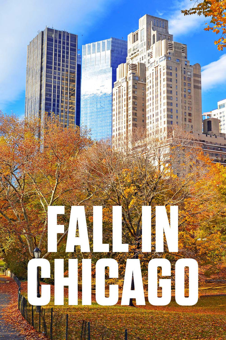 the words fall in chicago are overlaided with autumn leaves and skyscrapers behind it