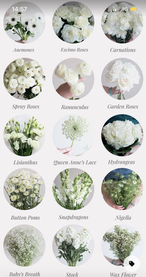 flowers that are white and have different names on the front, side, and back