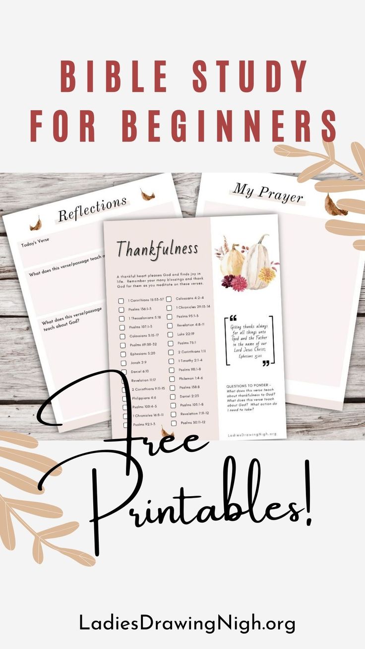 bible study for beginners with the text, free printables