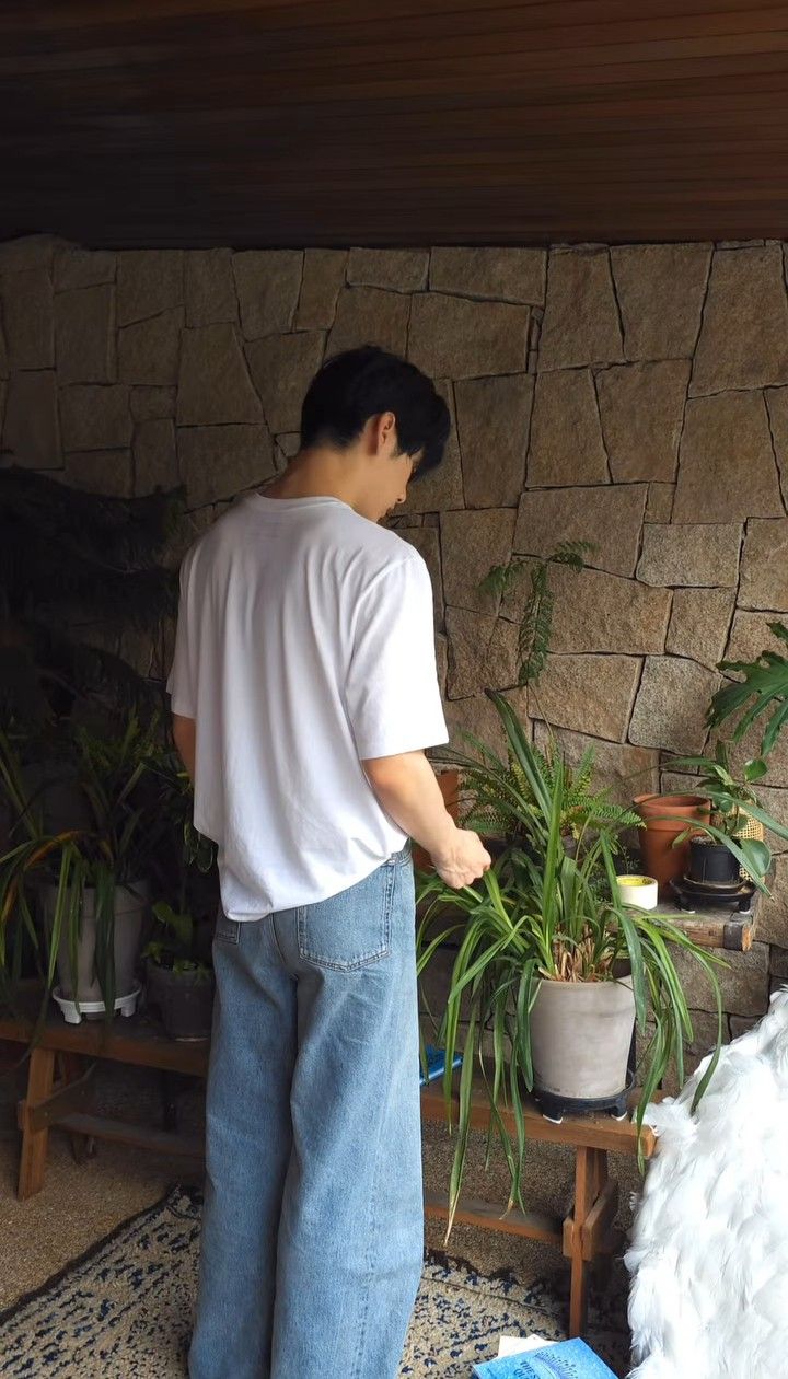 a man standing in front of a wall with potted plants on top of it