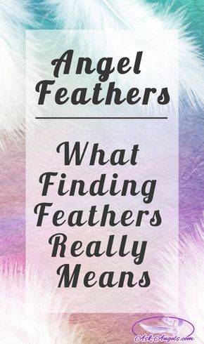 the words angel feathers, what finding feathers really means