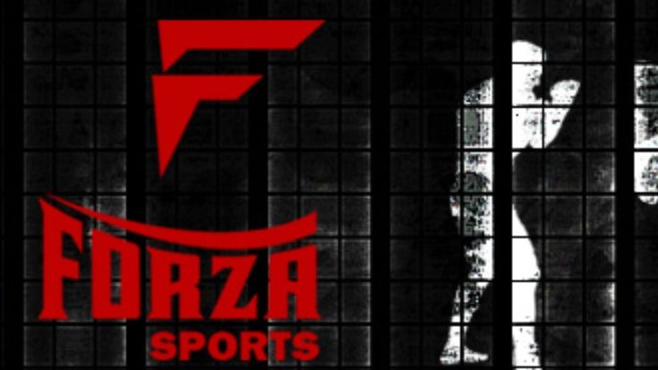 Forza Sports