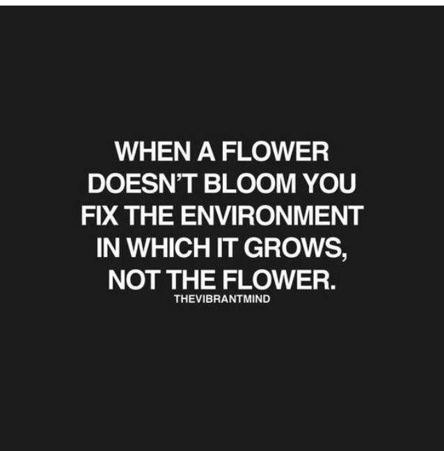 a black and white photo with the quote when a flower doesn't bloom you fix the environment in which it grows, not the flower