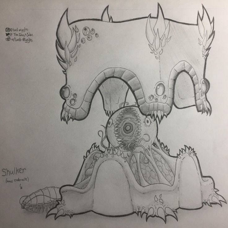 a drawing of an animal with horns and eyes