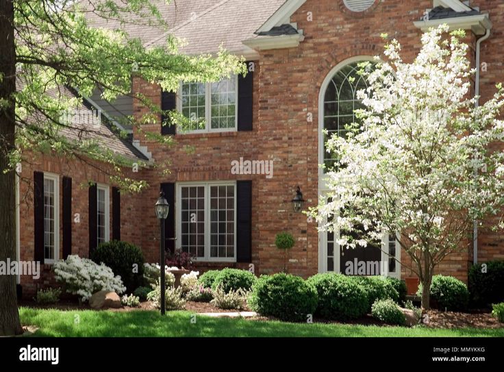 a brick house with white flowers and trees in front