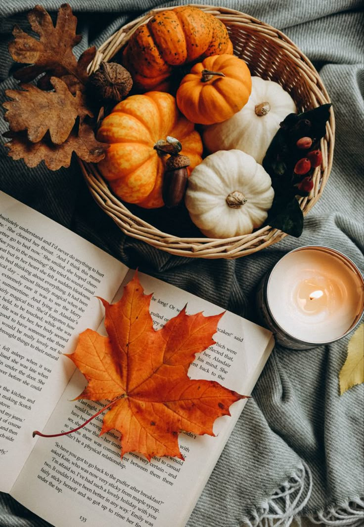 an open book and some pumpkins on a blanket