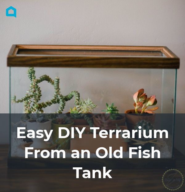 easy diy terrarium from an old fish tank