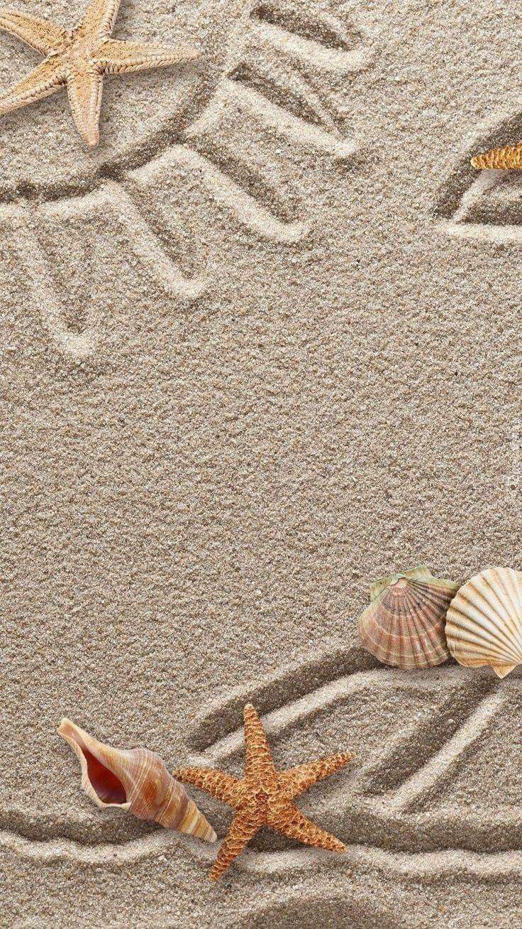 starfish and seashells on sandy beach with wave drawing in sand, viewed from above