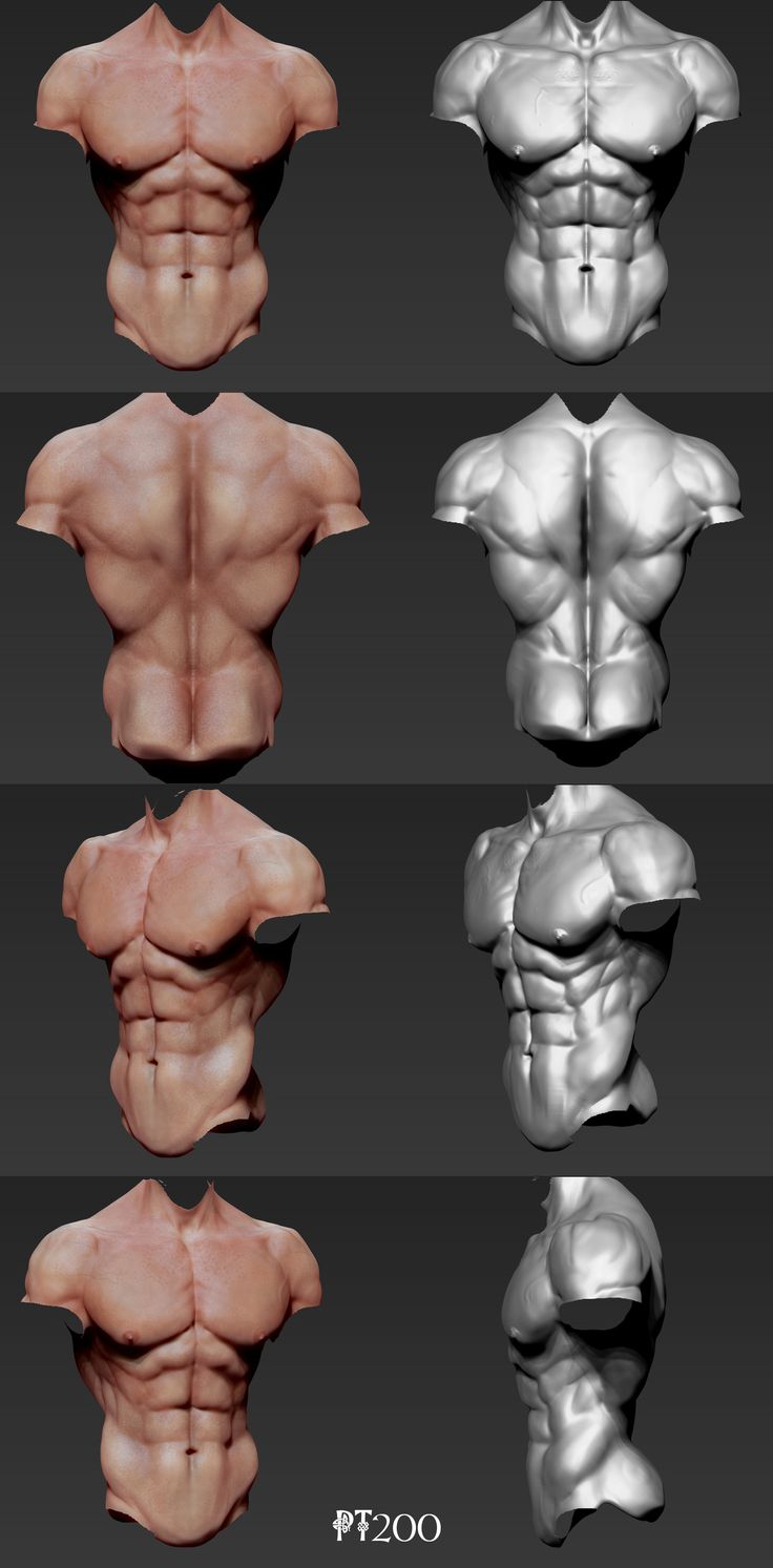 the back view of a man's torso in different positions, with various angles and colors