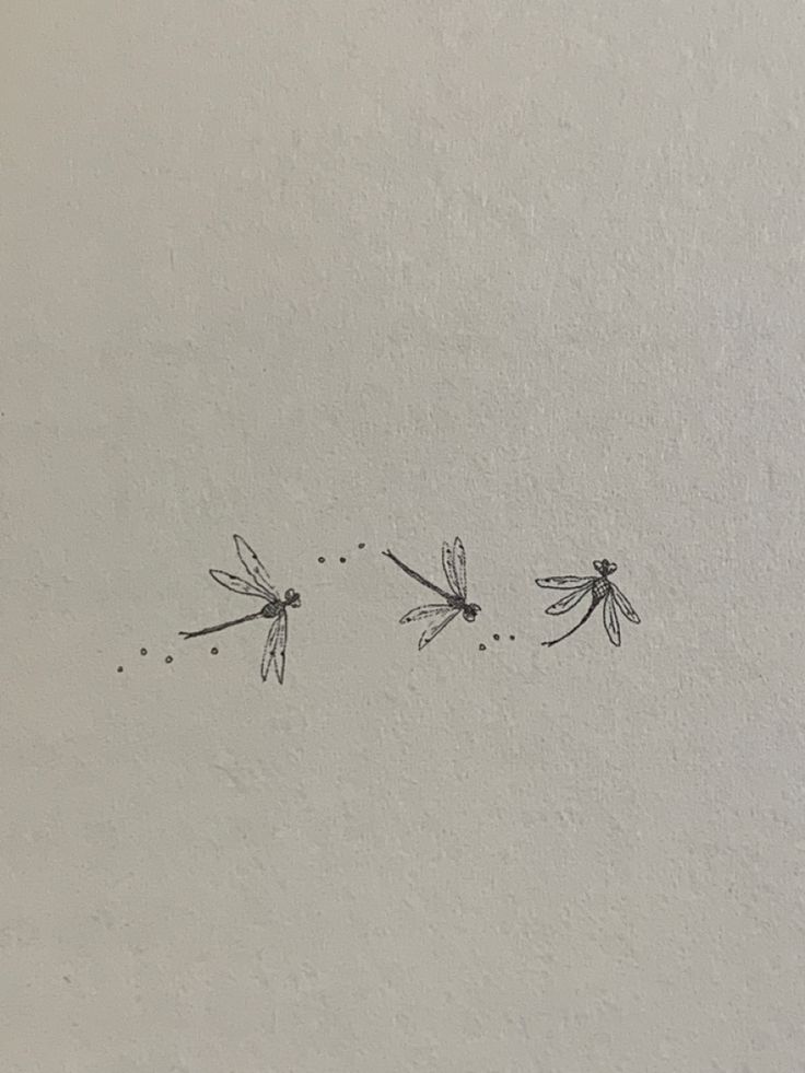 three dragonflies are drawn on the wall