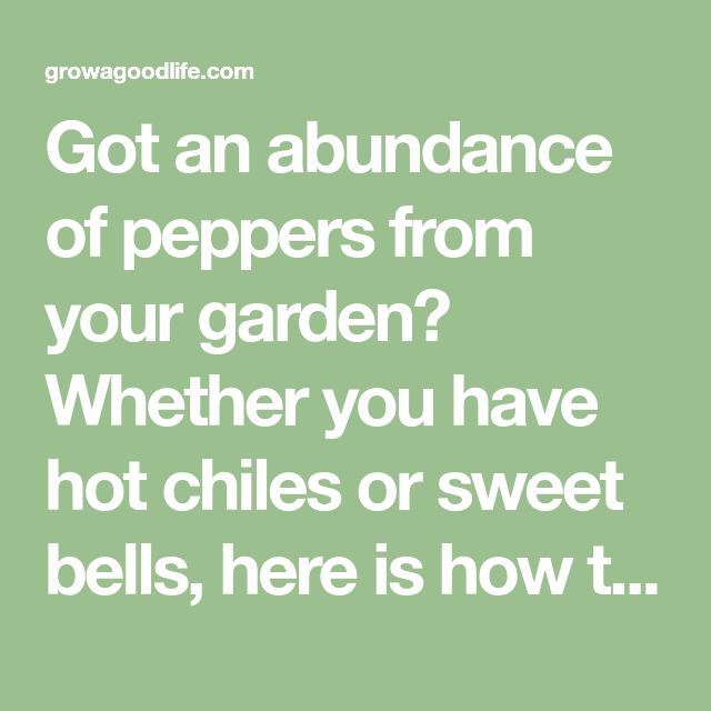 a quote that says, got an abundance of peppers from your garden? whether you have hot chilis or sweet bells, here is how t