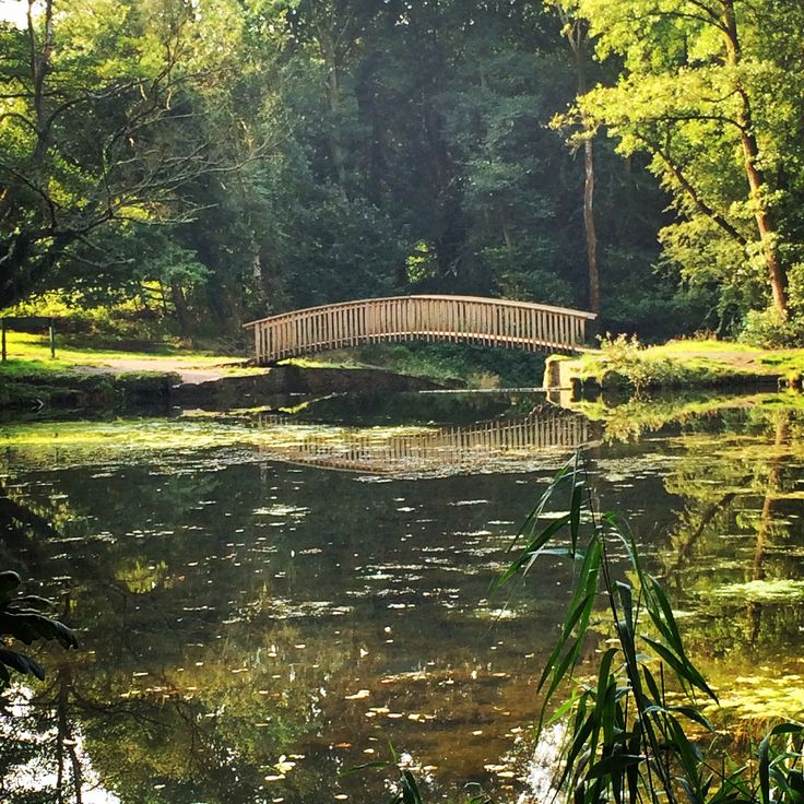 a wooden bridge over a pond surrounded by trees