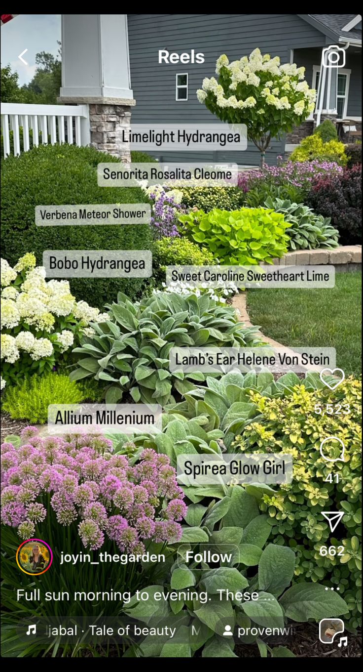 the garden is full of different types of flowers and plants, including hydrangeas