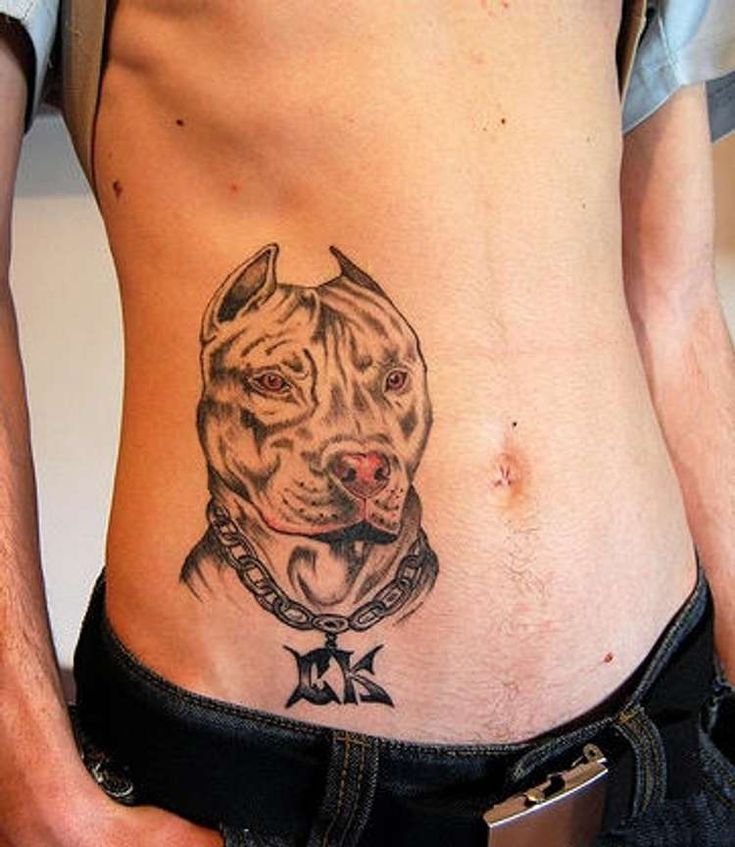 a man with a pitbull tattoo on his stomach