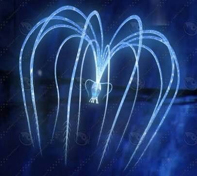 an animated image of blue lights in the shape of two heart shaped shapes on a dark background