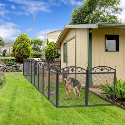 a dog is standing in the yard behind a fence