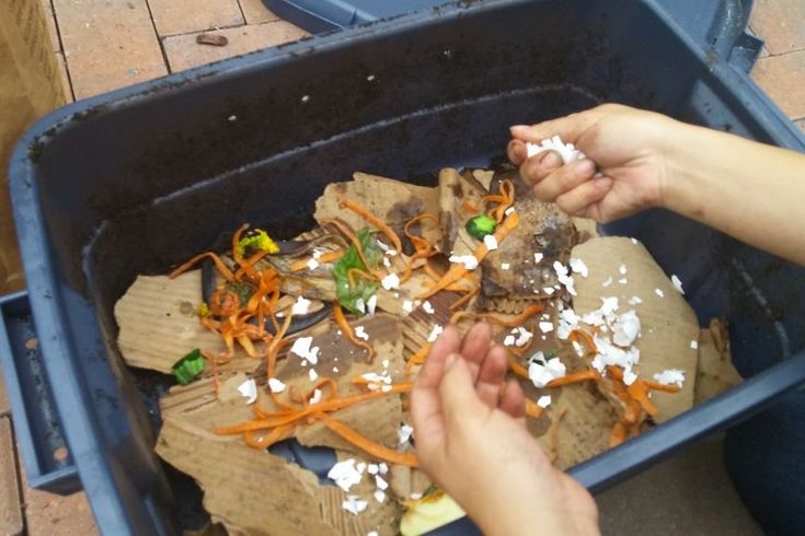 someone is throwing food into a trash can