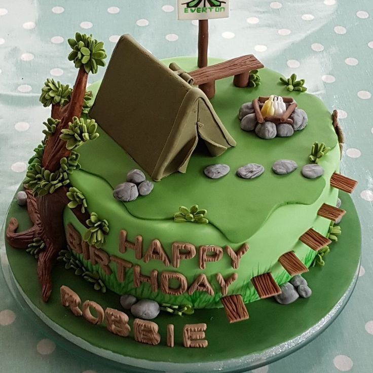 a green birthday cake with a camper's tent on top and rocks around it