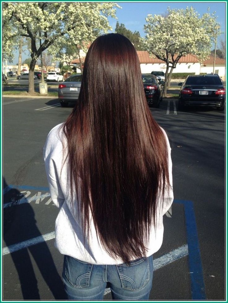 Dark Chocolate Brown Hair, Long Healthy Hair, Chocolate Brown Hair, Long Dark Hair, Long Brown Hair, Brown Hair With Highlights, Long Straight Hair, Light Brown Hair, Long Hair Cuts