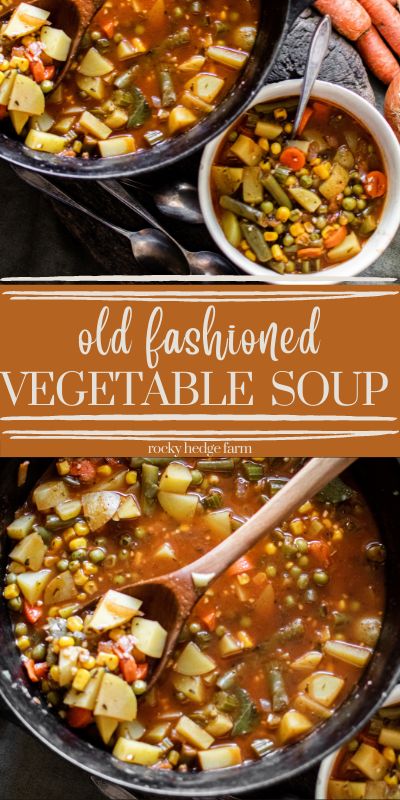 two bowls filled with vegetable soup next to carrots