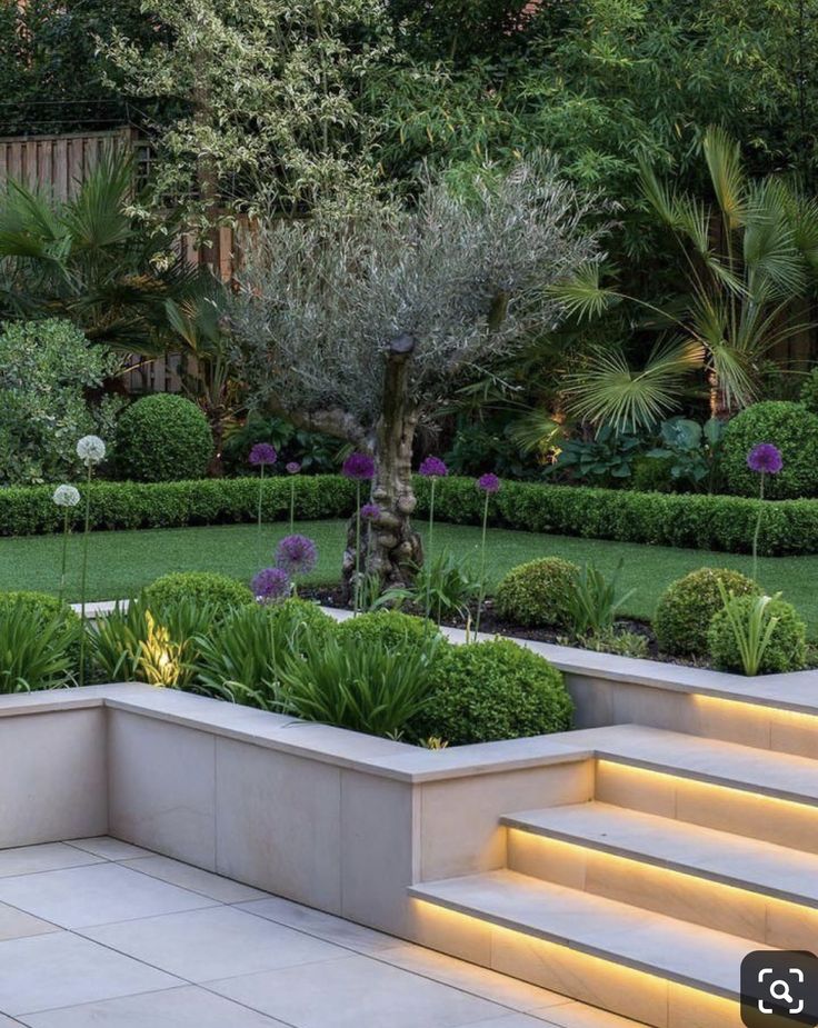 an outdoor garden with steps lit up at night