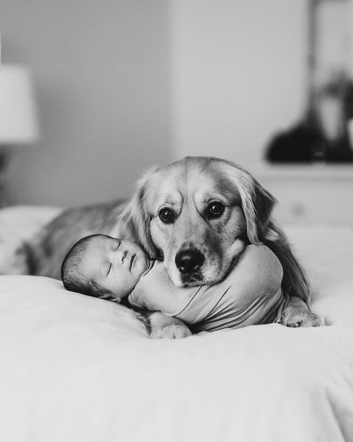 a black and white photo of a dog laying on a bed with its head on a baby's chest