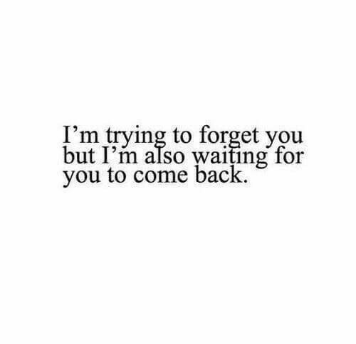 the words i'm trying to forget you but i'm also waiting for you to come back