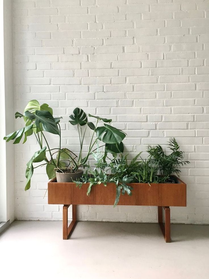 some plants that are sitting on a wooden table in front of a white brick wall