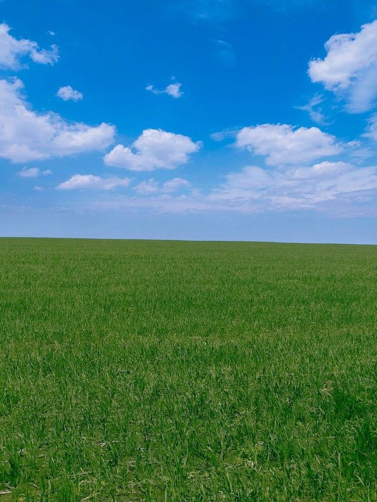 an open field with green grass under a blue sky