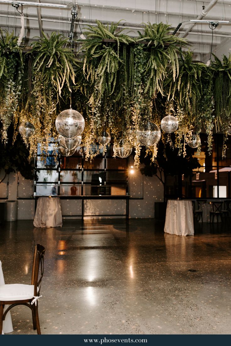 an empty room with chairs and plants hanging from the ceiling