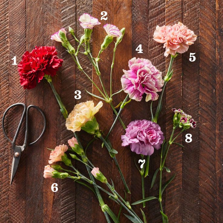 flowers and scissors on a wooden table with numbers for each flower head to be cut in half