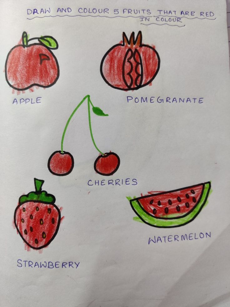 a piece of paper with drawings of fruits on it and the names of each fruit