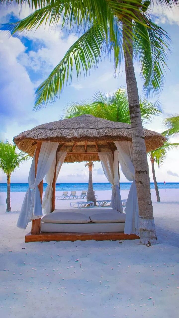 a bed sitting under a palm tree on top of a beach