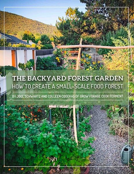 the backyard forest garden how to create a small - scale food forest