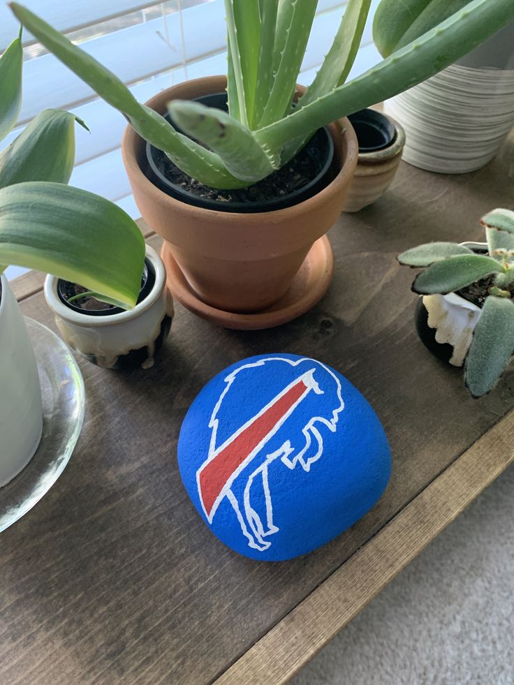 there is a rock sitting on the table next to some potted plants and succulents