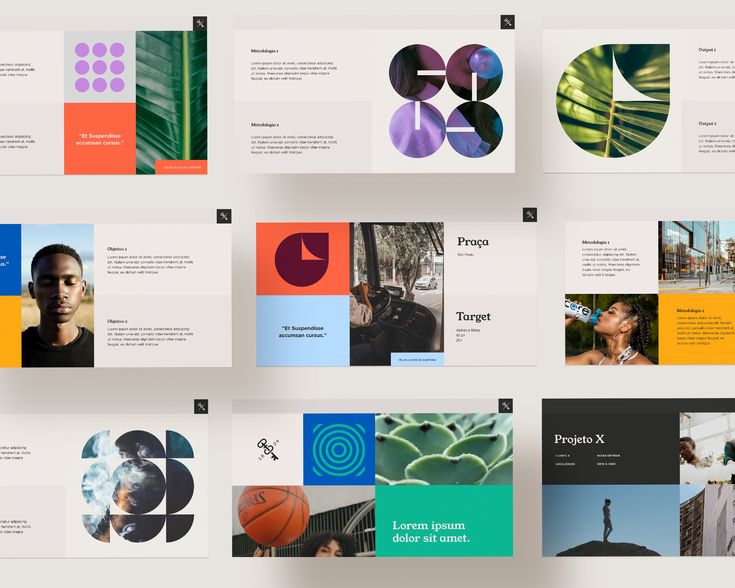 a bunch of brochures with different colors and shapes