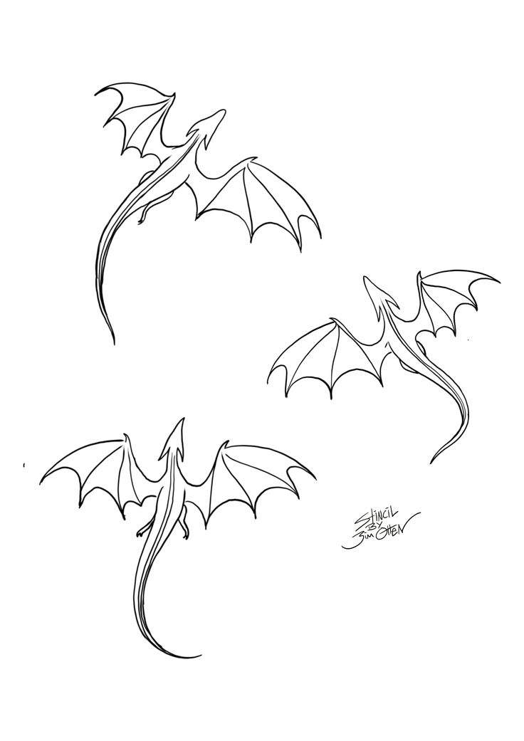 a drawing of a dragon flying through the air