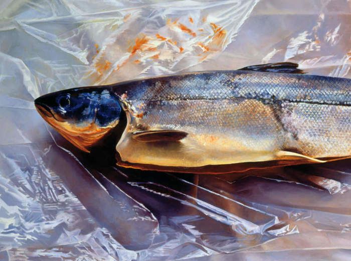 a fish is laying on plastic wrapped in foil