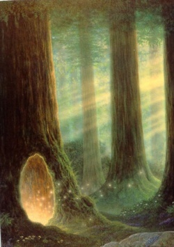 an image of a forest scene with trees in the foreground and light coming from behind