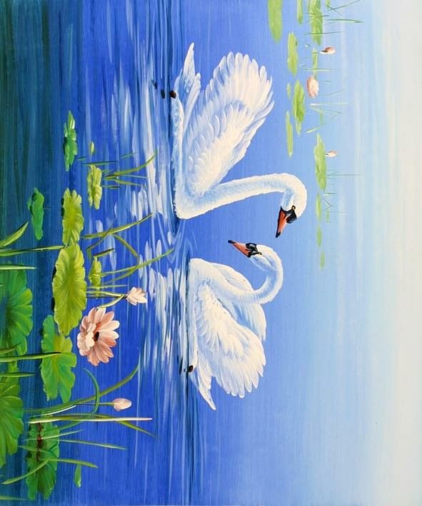 two white swans floating on top of a lake surrounded by lily pads and water lilies