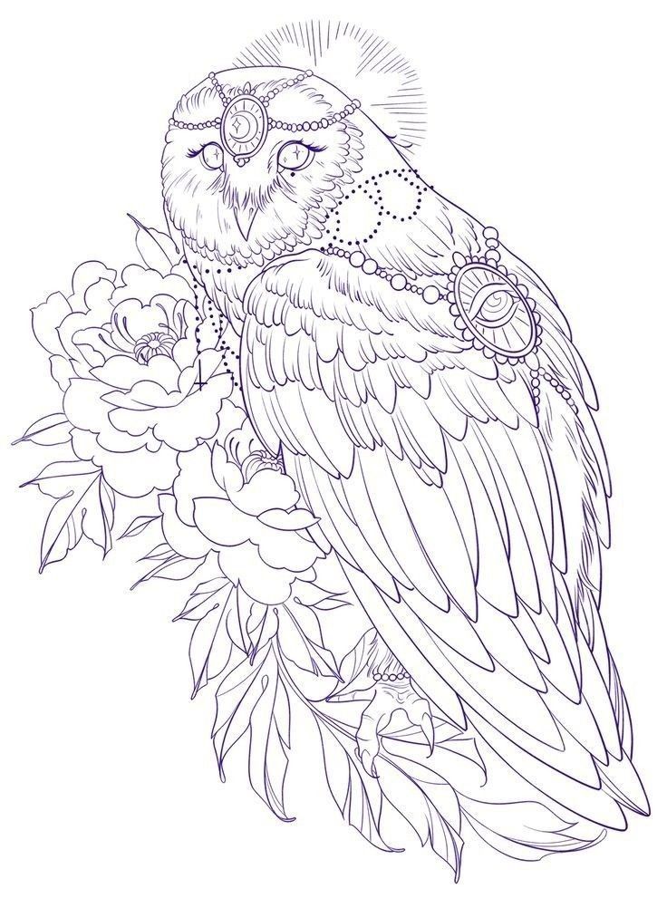 an owl sitting on top of a branch with flowers in it's beaks