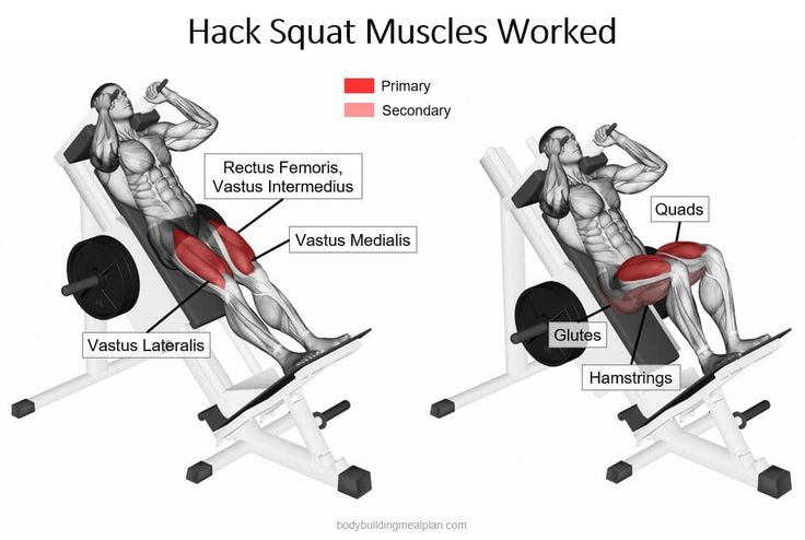 the back squat muscles are shown in three different positions, including one on top of the bench