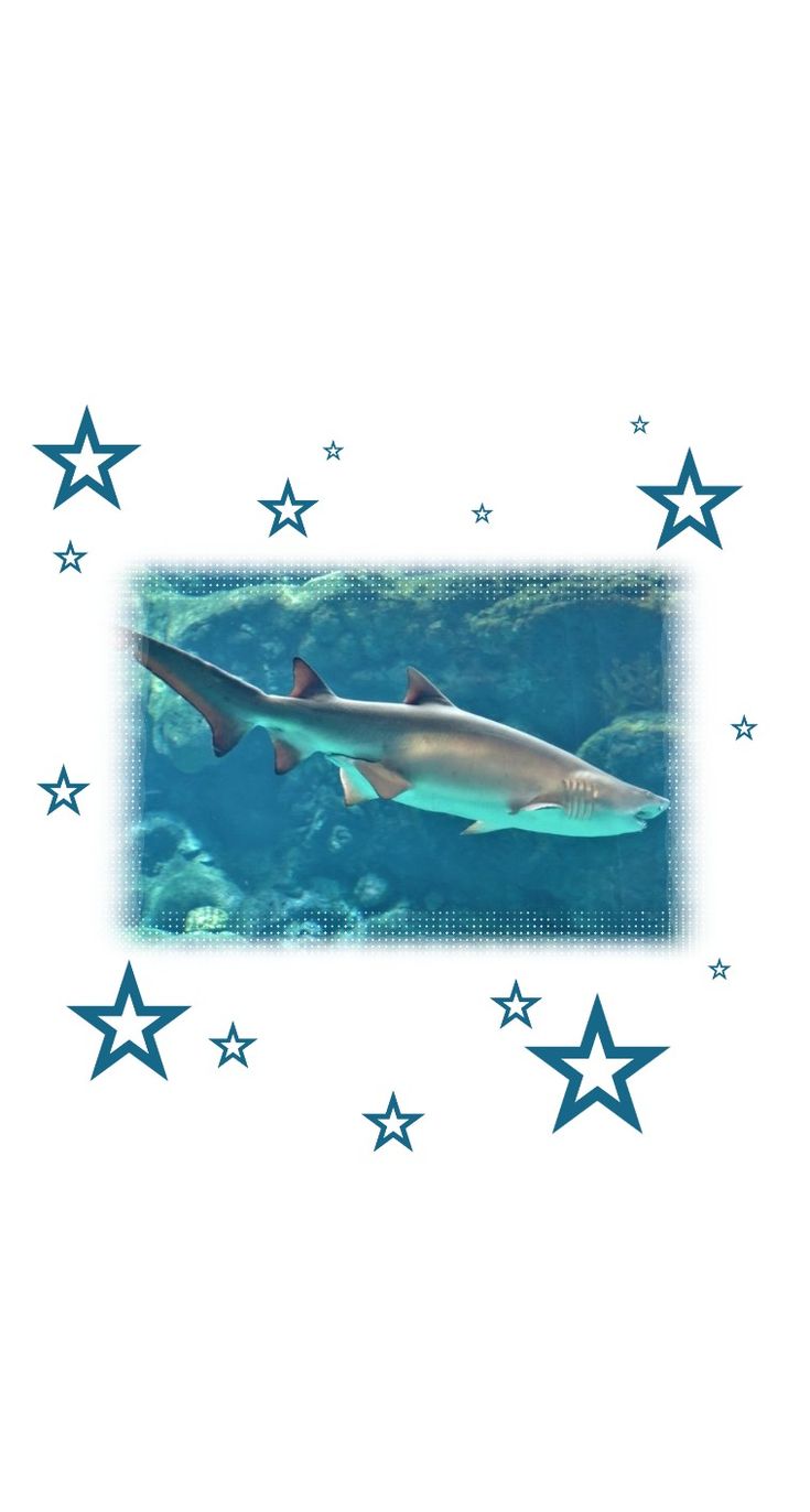 an image of a shark swimming in the water with stars around it's edges