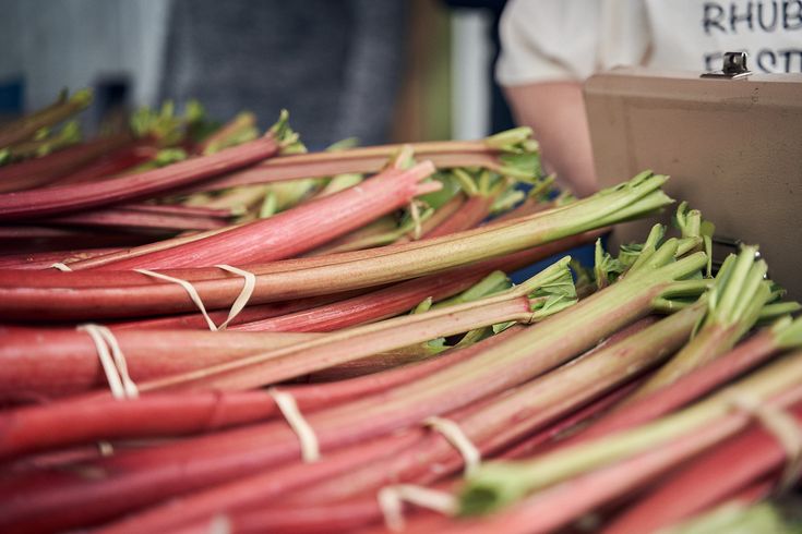 several bundles of rhubarb on display at an outdoor market