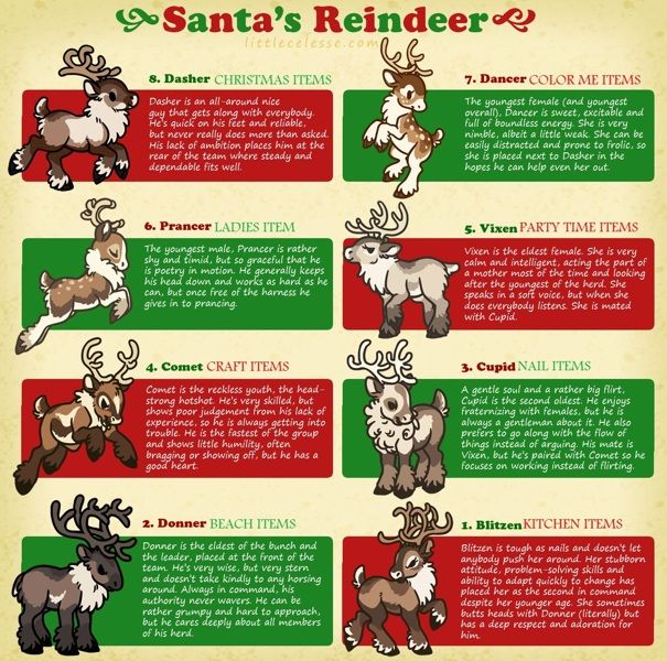 an info sheet with reindeers and their names