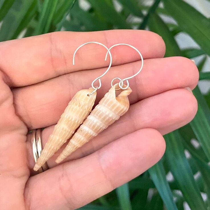 Dainty Auger Seashell Earrings 1 3/8 Inch - Etsy Ocean-inspired Shell Earrings With Ear Wire, Adjustable Shell Earrings With Ocean-inspired Style, Adjustable Shell Earrings, Ocean-inspired, Ocean-inspired Shell Earrings, Nickel-free Shell Dangle Earrings, Ocean-inspired Shell Shaped Jewelry With Matching Earrings, Ocean-inspired Shell Jewelry With Matching Earrings, Ocean-inspired Shell Earrings As Gift, Ocean-inspired Shell Earrings For Gifts