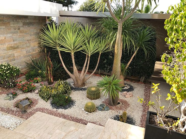 an outdoor garden with various plants and rocks