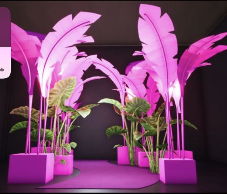 pink flowers and plants in planters with purple lighting