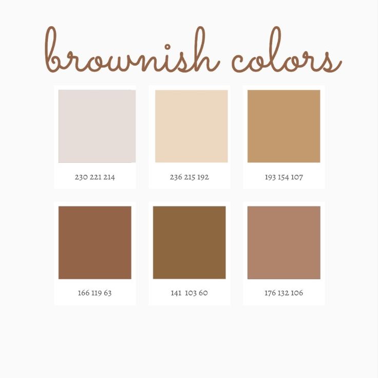 the color scheme for brownish colors