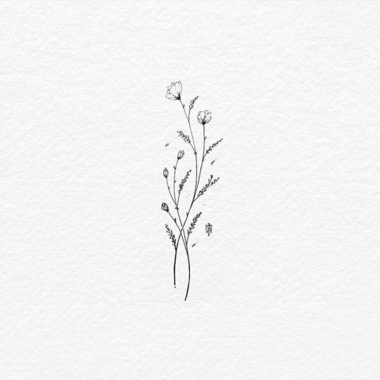 a drawing of some flowers on a white paper